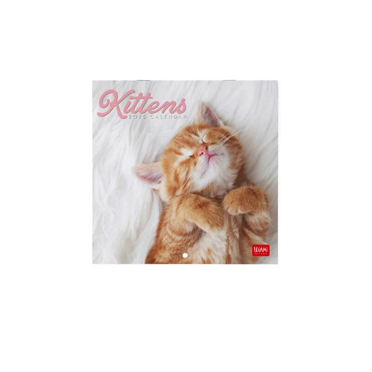 LEGAMI 2025 Wall Calendar Uncoated - 18x18 - Kittens