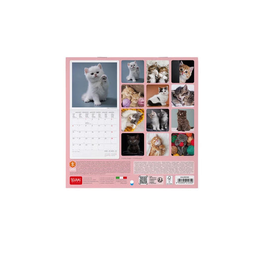 LEGAMI 2025 Wall Calendar Uncoated - 18x18 - Kittens