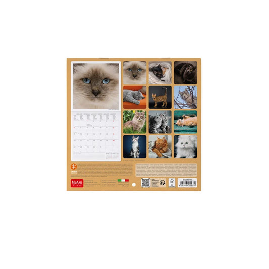 LEGAMI 2025 Wall Uncoated Calendar - 18x18 - Cats