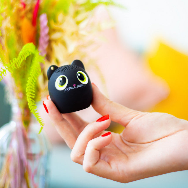 PYLONES Mini Speaker Sing Song Column