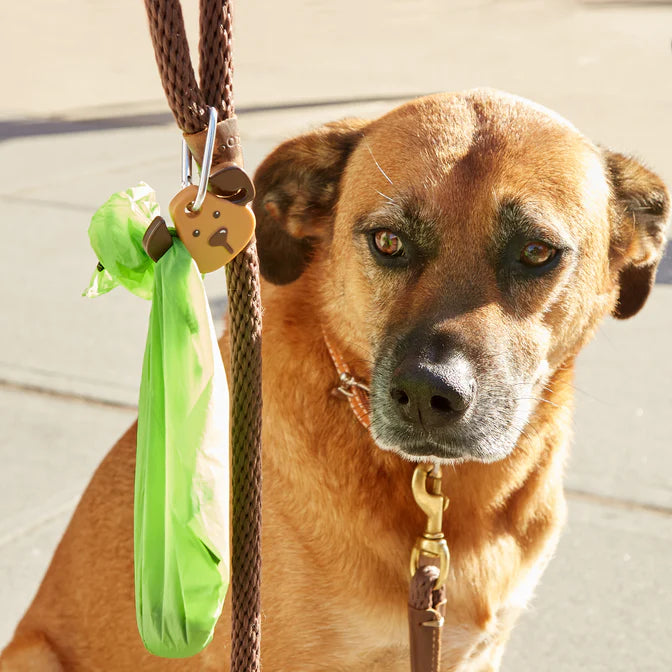 Lanterna KIKKERLAND Dog Light