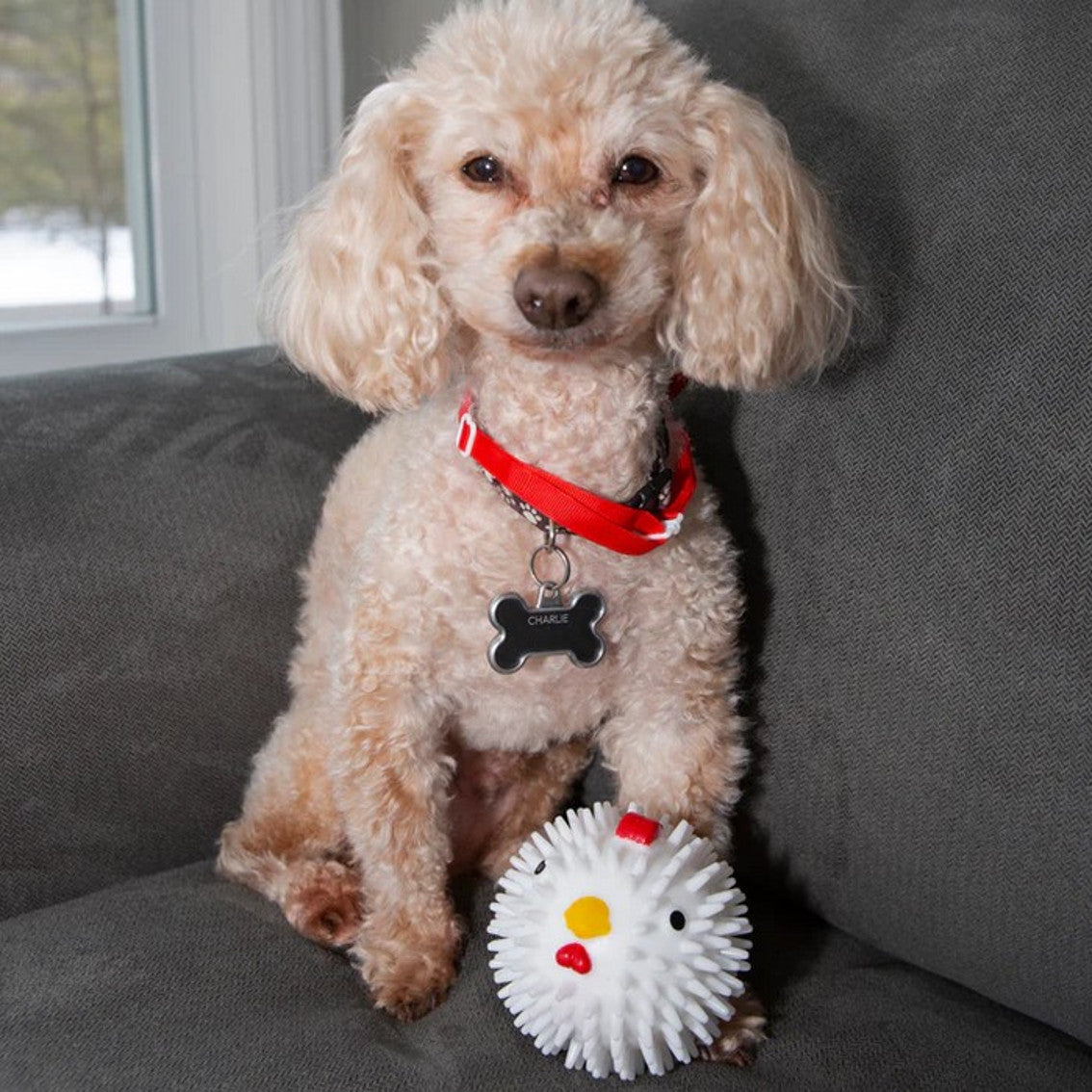 Jogo KIKKERLAND Chicken Dog Ball