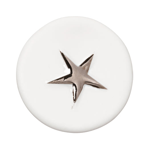 Moeda da Sorte Make a Wish - Silver Star