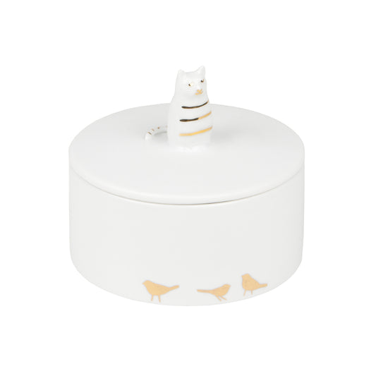 Caixa RADER Jar - Cat