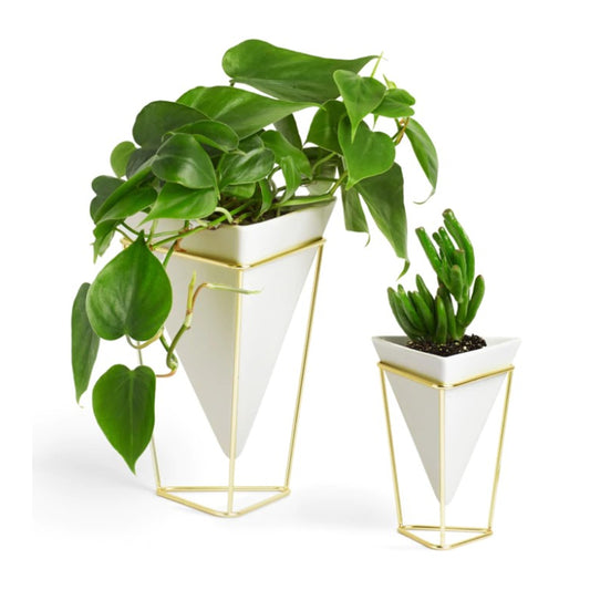 Vaso UMBRA - Trigg - 2 unid.