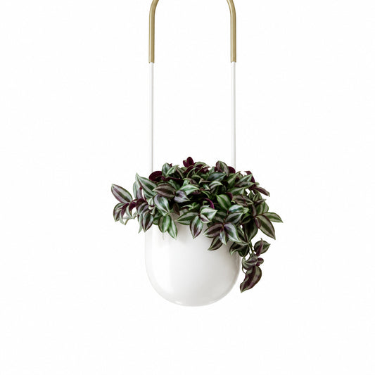 UMBRA Bolo Planter - White