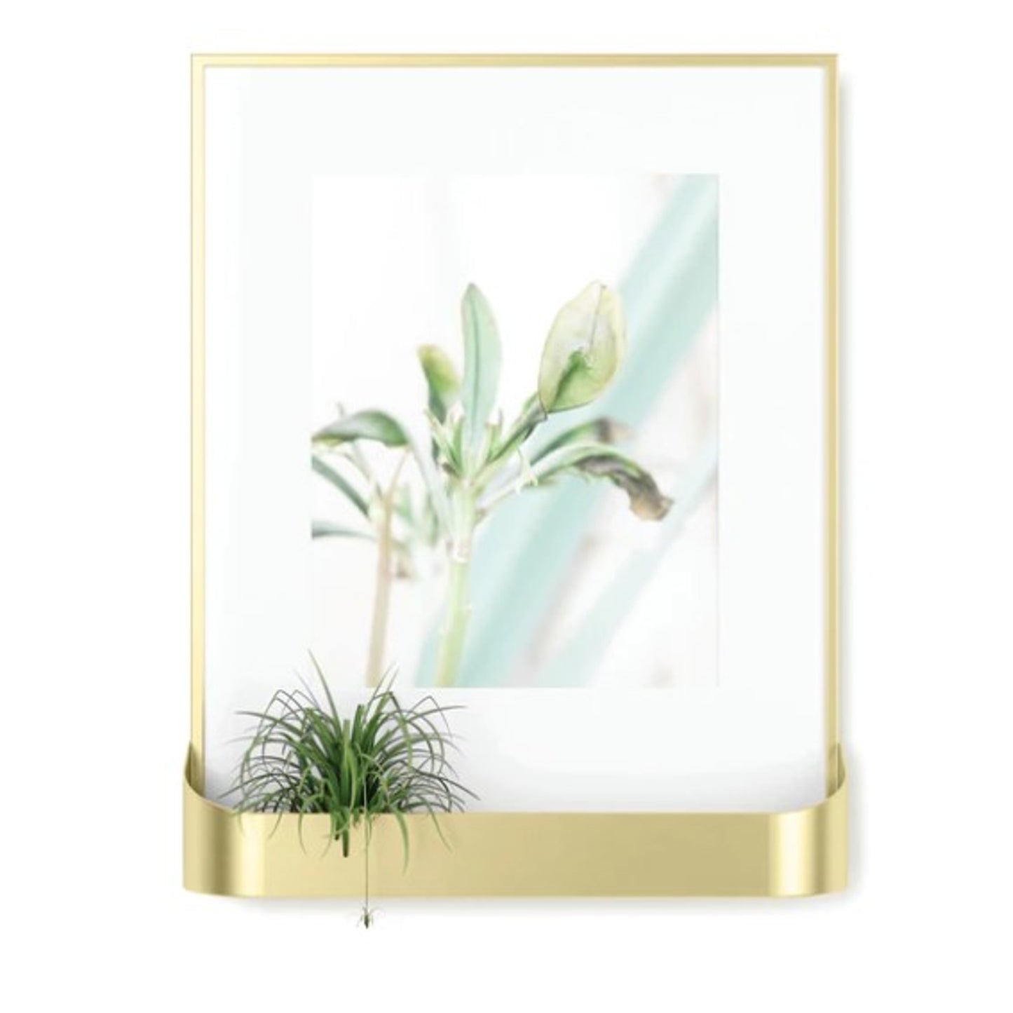 Moldura UMBRA Matinee