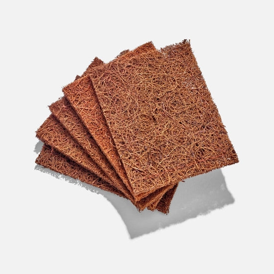 Conjunto Ecológico Lavagem de Loiça