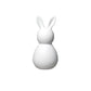 Coelho RADER Easter Gent - Medium