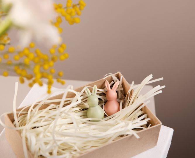 Coelhinho RADER Eastern Mini Bunny