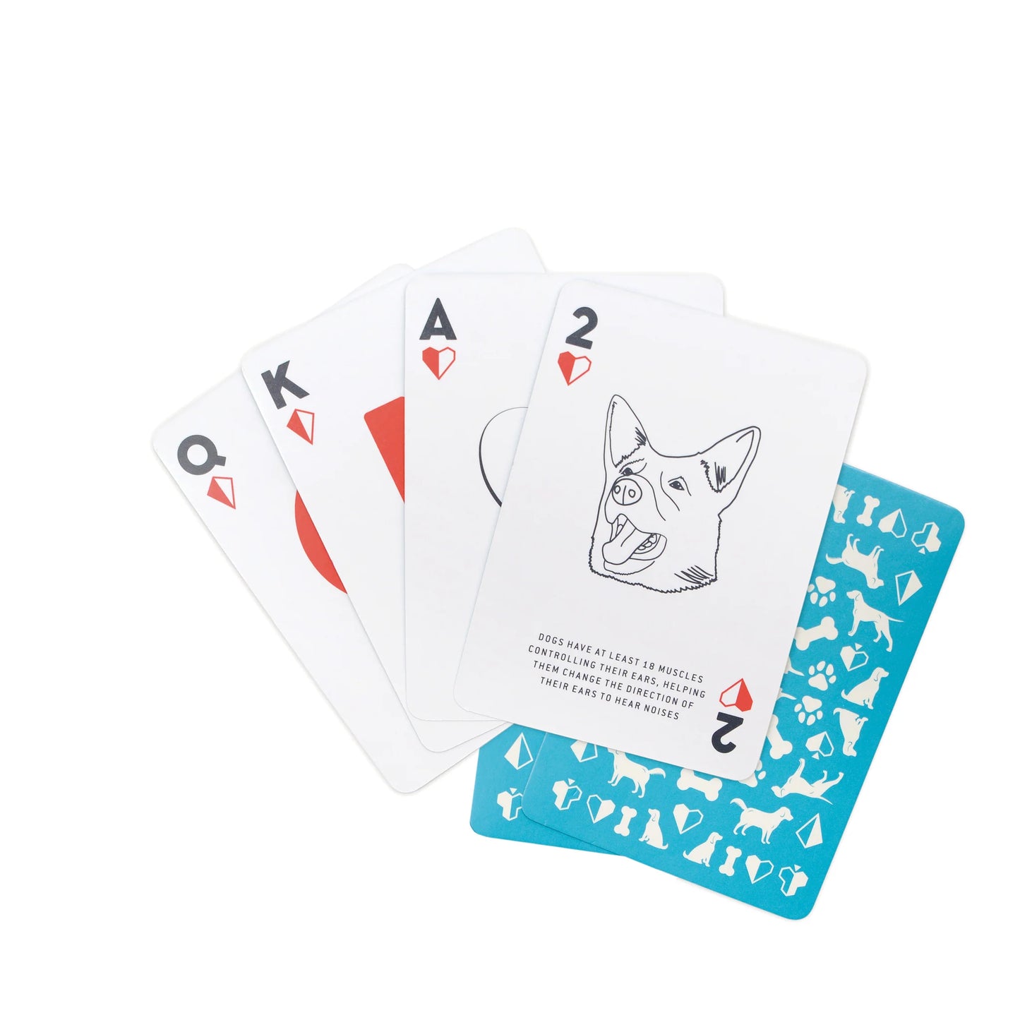 Baralho de Cartas WANDER Playing Cards - Dog Fact