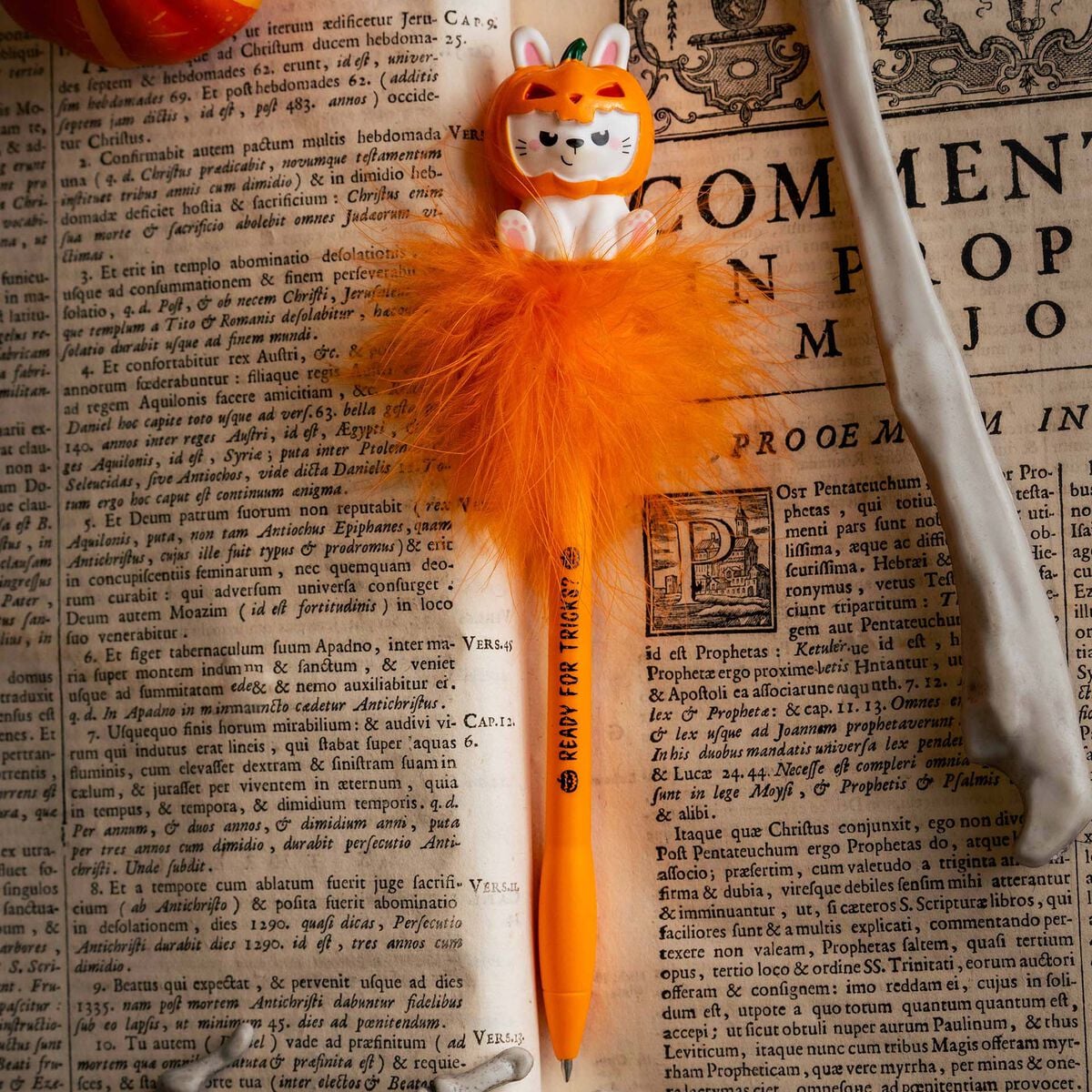 Esf. LEGAMI Writing is Magic - Halloween -  Pumpkin Bunny
