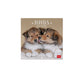 Calendário LEGAMI 2025 Wall Uncoated - 18x18 - Puppies
