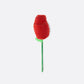 EAT MY SOCKS Meias TREND – Pretty Rose, Red