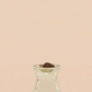 Difusor PADDYWAX Flora Bulb - 118ml - Bamboo