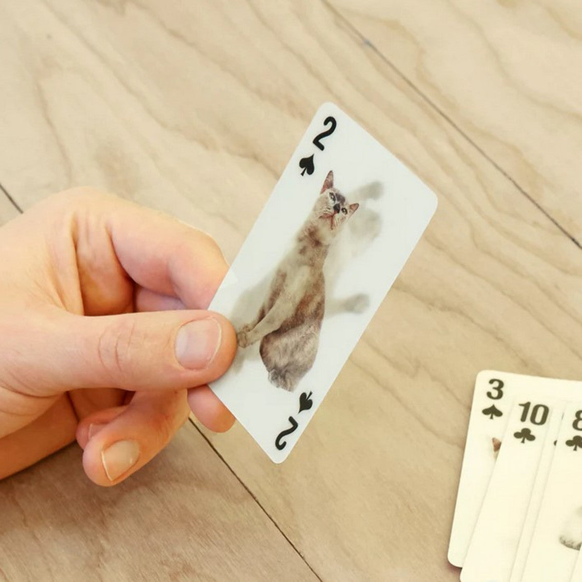 Baralho de Cartas KIKKERLAND 3D - Cats