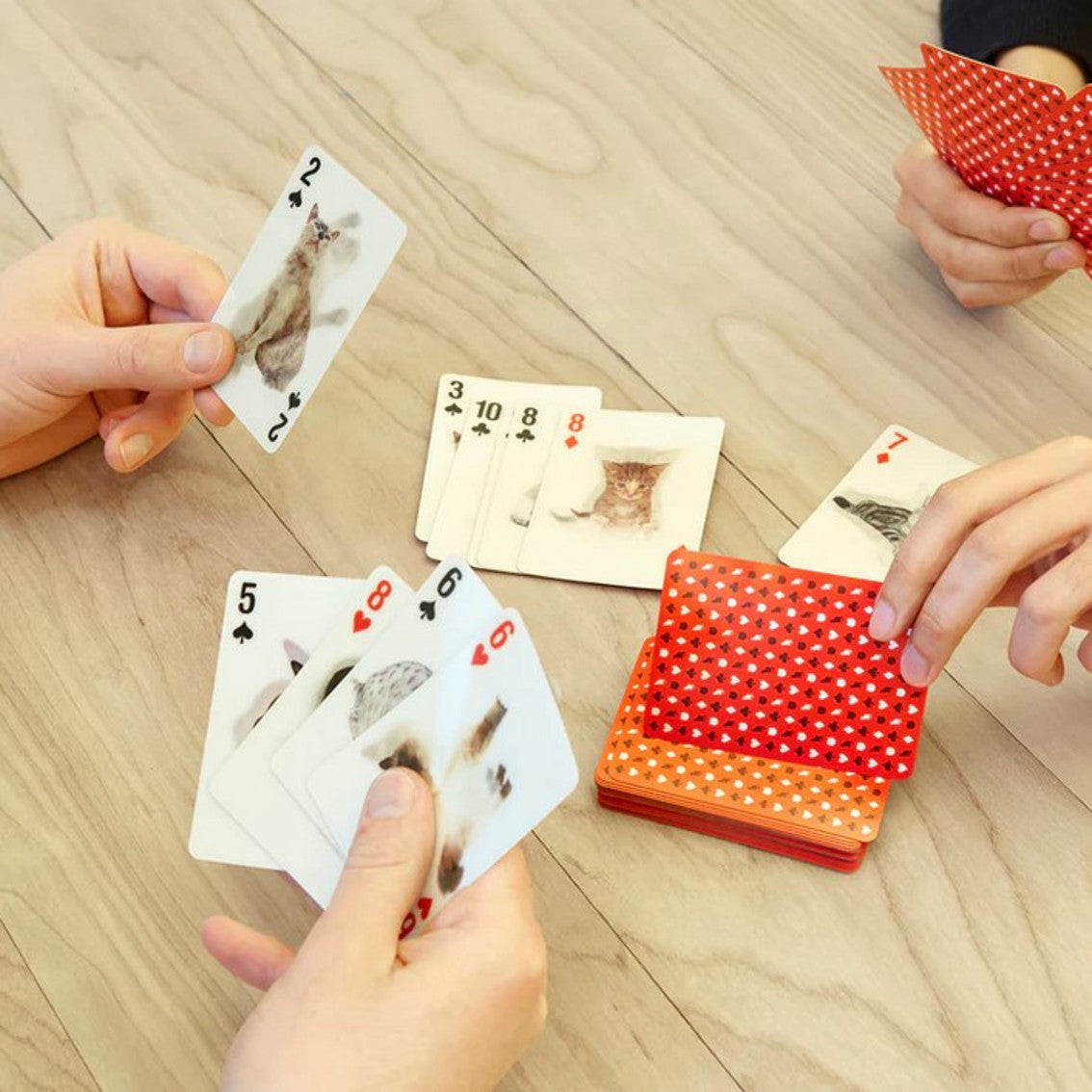 Baralho de Cartas KIKKERLAND 3D - Cats