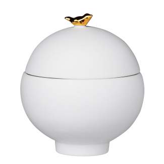 Caixa RADER Stories - Bird