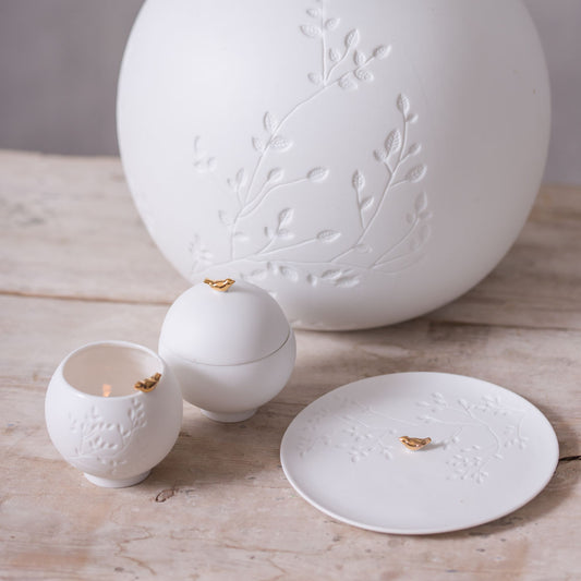 Caixa RADER Stories - Bird