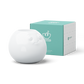 Vaso TASSEN AMUSED - White